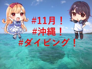 11月の沖縄は、ダイビングにぴったりだから解説するよ