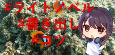 読者を引き込むライトノベルの書き出しを学ぼう！