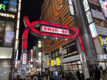 【事実上の観光スポット！？】夜の街新宿歌舞伎町がけっこう面白い