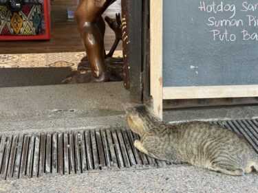 フィリピンのマニラは『つまらない』？|正直に言って……いまいちでしたっ。別のところに行くことをおすすめしますっ